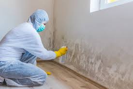 Best Mold Remediation for Rental Properties  in Park City, MT